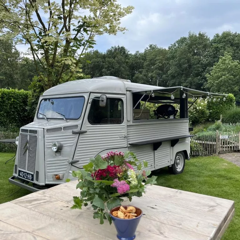 447895335 961988782600637 4772967140644236636 n